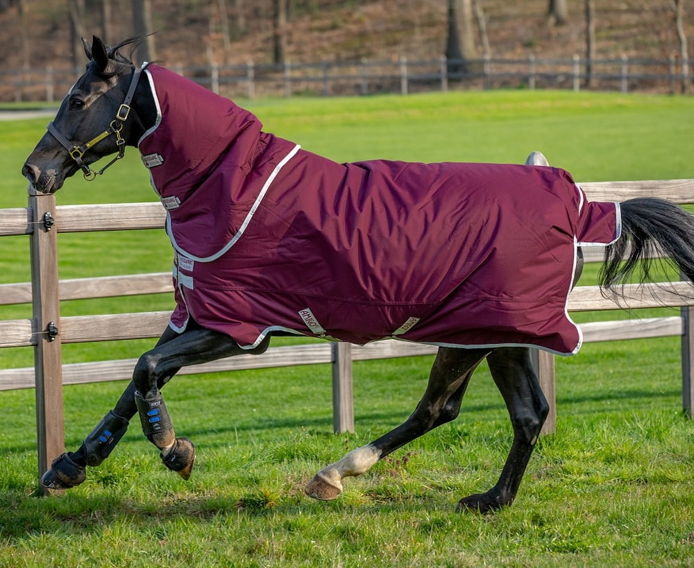 600D Lightweight Turnout Horse Rug Waterproof Combo Full Neck Red/Black 5'3-6'9 