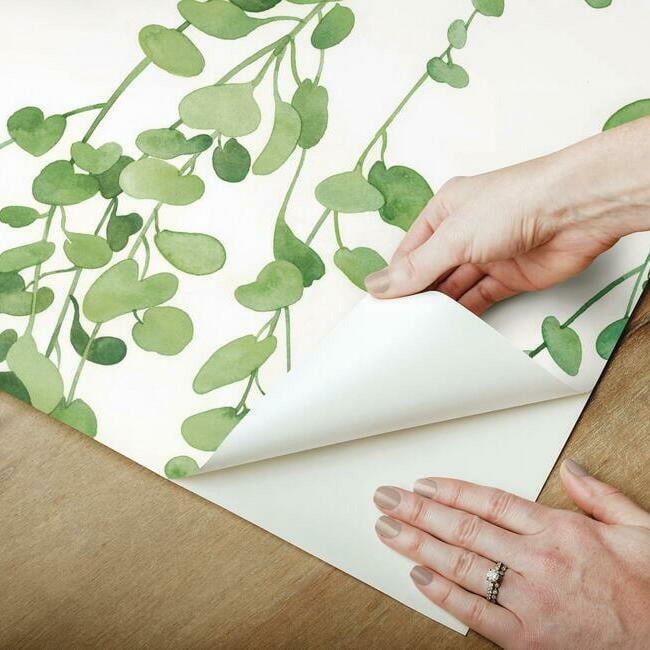 Hanging Watercolor Vines Peel and Stick Wallpaper