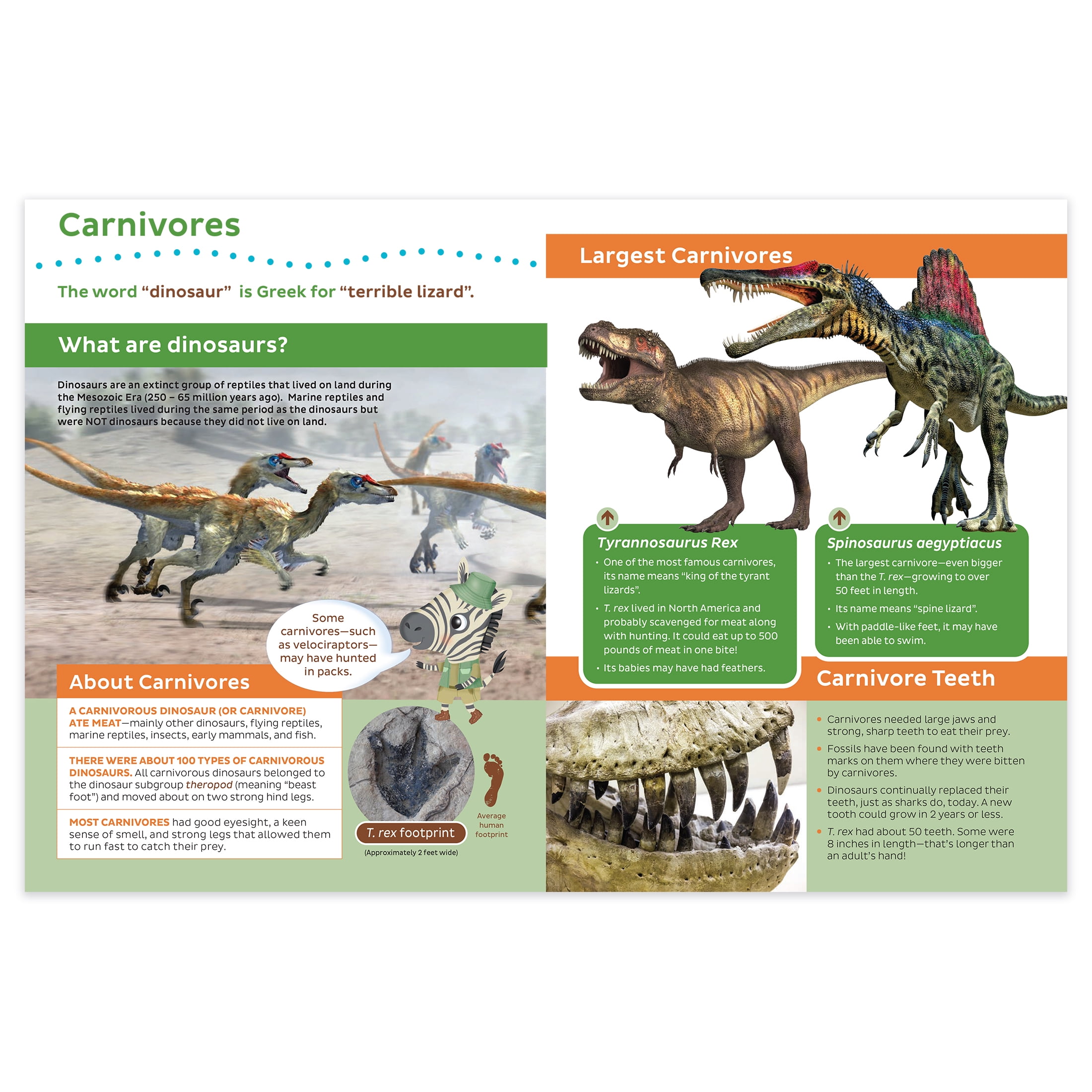 Seek & Find with Freddy and Ellie® Discovery: Dinosaurs 4 Book Set