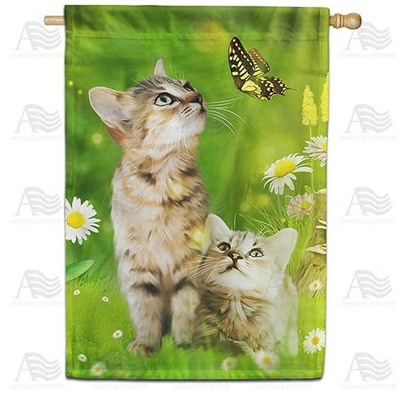 America Forever Spring Kitty House Flag 28 x 40 inches Double Sided Cute Cat, Butterfly, Daisy, Happy Summer - Seasonal Yard Lawn Outdoor Decorative Tabby Cat House Flag