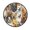 a Large Group of Dogs, variant on 36.2 Inch Round Floor Mat A Large Group Of Dogs Carpet Decor Rug for Living Room Bedroom