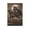 Unframe-style, variant on Yumihiko Amano Painting Painter Poster Room Aesthetic Poster Print Art Wall Painting Canvas Posters Gifts Modern Bedroom Decor 12x18inch(30x45cm)