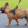 thumbnail image 4 of Harnais pour Chien Anti-Traction Harnais pour Animaux avec 2 Pinces à Laisse Gilet Rembourré Doux Réglable Gilet Réfléchissant Extérieur en Oxford pour Animaux, 4 of 6