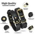 thumbnail image 5 of Didog Genuine Leather Pet Dog Collars Heavy Duty Adjustable High Quality Brass Buckle Black Brown, 5 of 8