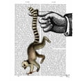 thumbnail image 3 of Fab Funky 12x14 Black Modern Framed Museum Art Print Titled - Ring Tailed Lemur on Finger, 3 of 5