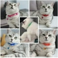 thumbnail image 7 of Kitten Collar with Bell, 4 Pack Breakaway Cat Collars with Safe Quick Release Buckle, Adjustable Soft Pet Collar for Small Medium Kitty Cats, 7 of 7