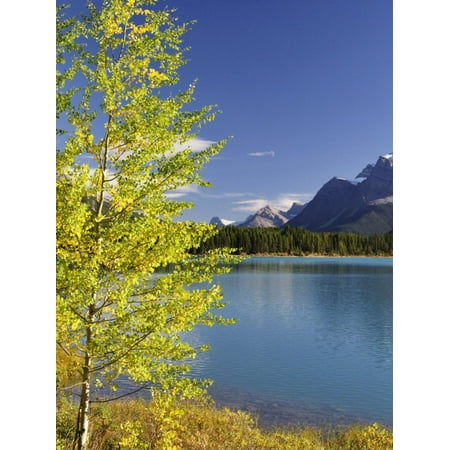 Waterfowl Lake, Banff National Park, UNESCO World Heritage Site, Rocky Mountains, Alberta, Canada, Print Wall Art By Jochen