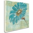thumbnail image 2 of Trademark Fine Art "Spa Daisies II" Canvas Art by Chris Paschke, 2 of 3