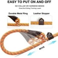 thumbnail image 3 of Fida Durable Slip Lead Dog Leash Bulk Pack of 5, Heavy Duty 1/2" x 6 FT Comfortable Strong Rope Slip Leash for Large, Medium Dogs No Pulling Pet Training Leash with Highly Reflective (Orange), 3 of 8