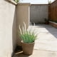 thumbnail image 4 of Planta colgante de helecho artificial | Vegetación de plástico resistente a los rayos UV y a la decoloración para decoración de interiores y exteriores, 4 of 6