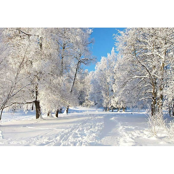 YUSDECOR Winter Backdrops for Photo Studio White Frozen Snow Background Photography 7x5ft for Wedding Shooting Backdrop