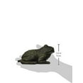 thumbnail image 2 of Tetra Pond 19744 Small Frog Spitter, 2 of 3