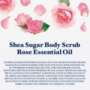 Dr Teals Shea Sugar Body Scrub with Rose Essential Oil, 19 oz.