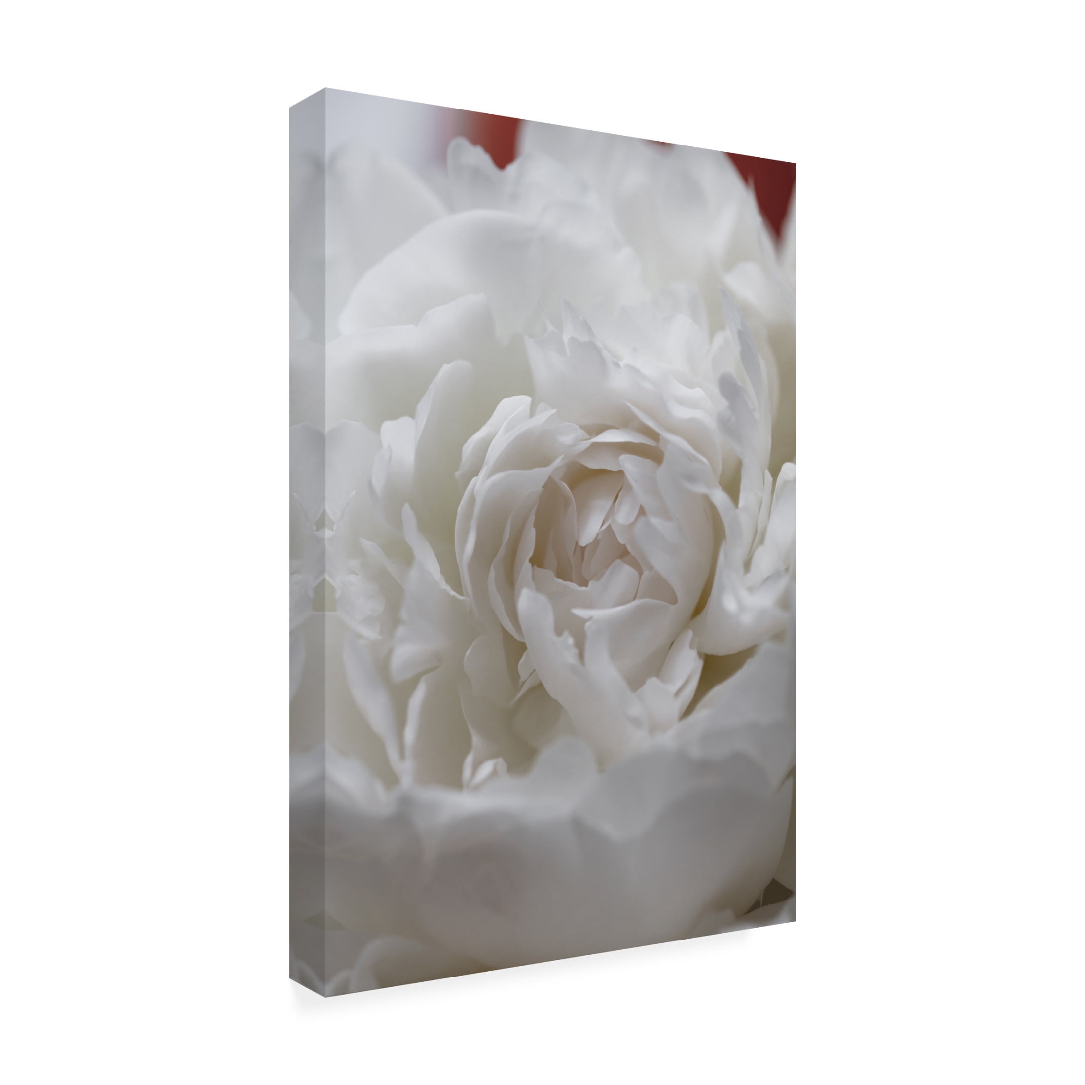 Trademark Fine Art Pictufy Studio Peony 13 Canvas Wall Art