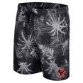 thumbnail image 2 of Men's Colosseum Black Boston College Eagles What Else is New Swim Shorts, 2 of 3