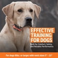 thumbnail image 3 of Entrenador para perros SportDOG 875 impermeable recargable con alcance de 800 m, 3 of 8