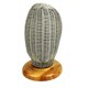 thumbnail image 1 of Soporte para perchero de sombreros, forma de exhibición, almacenamiento de pelucas, cabeza de maniquí para uso en tiendas y salones. F, 1 of 5