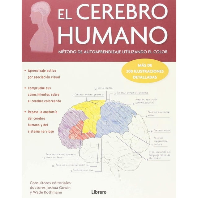 EL CEREBRO HUMANO LIBRERO METODO DE AUTOAPRENDIZAJE UTILIZANDO EL COLOR