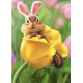 thumbnail image 1 of Avanti Press Chipmunk Bunny In Tulip Easter Card, 1 of 2
