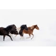 thumbnail image 2 of PHBurchett 18x13 Black Ornate Wood Framed with Double Matting Museum Art Print Titled - Snow Run IV, 2 of 4