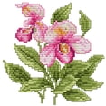thumbnail image 1 of Kit Punto Cruz Con Flores Impresas 14 Quilates Bordado Parcial Phalaenopsis (17x17 Cm), 1 of 9