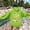 Light Green, variant on Women's Hoodies Sweatshirts You I'm Sorry Women's Casual Sweatshirt Hoodies White S