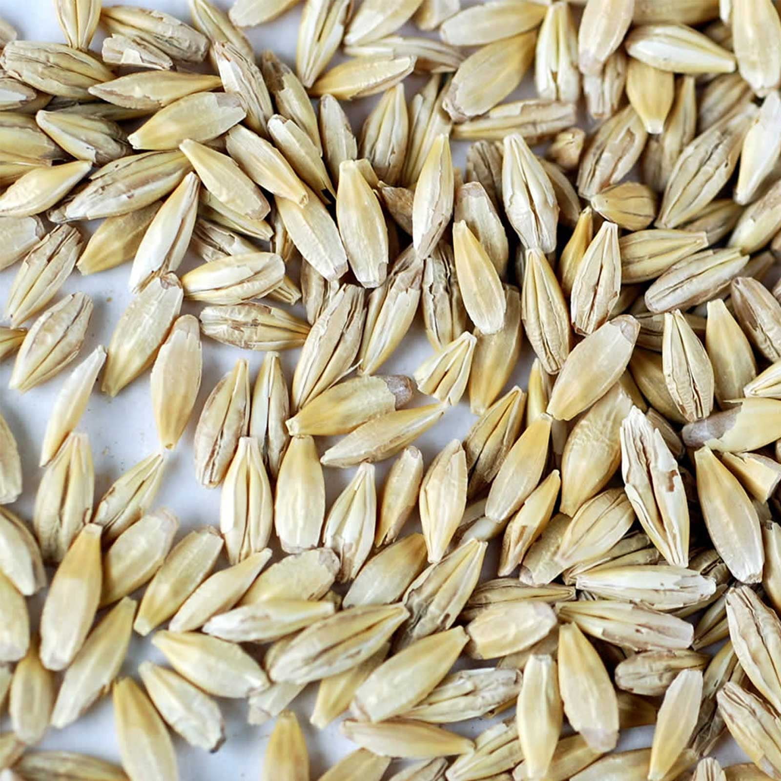 Organic Barley Seeds -4.5 Lbs - Whole (Hull Intact) Barleygrass Seed - Ornamental Barley Grass, Juicing - Grain for Beer Making, Emergency Food Storage & More