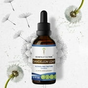 Dandelion Leaf Tincture Alcohol-FREE Extract, Organic Taraxacum Officinale Healthy Digestive System 2 oz
