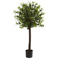 thumbnail image 1 of Arbre en Soie Olive Topiary 4 Pieds, 1 of 1
