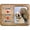 Live, Love, Woof, variant on Expressly Yours! "Live, Love, Woof" Pet Lover Picture Frame Keepsake for Tabletop, Holds 3.5 x 2.5" Photo