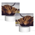 thumbnail image 2 of Fotbe Yak Pattern Acrylic Night Light Gift with 3 Color ModesTouch-Sensitive LED Lamp Perfect Gift for Mother's Day, Birthday, or Christmas, 2 of 9