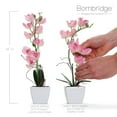 thumbnail image 3 of Bornbridge Artificial Potted Orchid with Long Stem - 2 Pack - Light Pink - Medium, 3 of 5