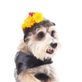 thumbnail image 4 of Disfraz Catrina P/Perro Talla 00 Color Morado/Negro Pet Pals Pet Pals CATR00, 4 of 6