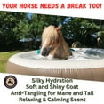 thumbnail image 3 of Zone Protects Silk-Stride Equine Shampoo; Signature Fragrance - Frosted Lavender; Powerful but Gentle Cleaning and Moisturizing, 3 of 5
