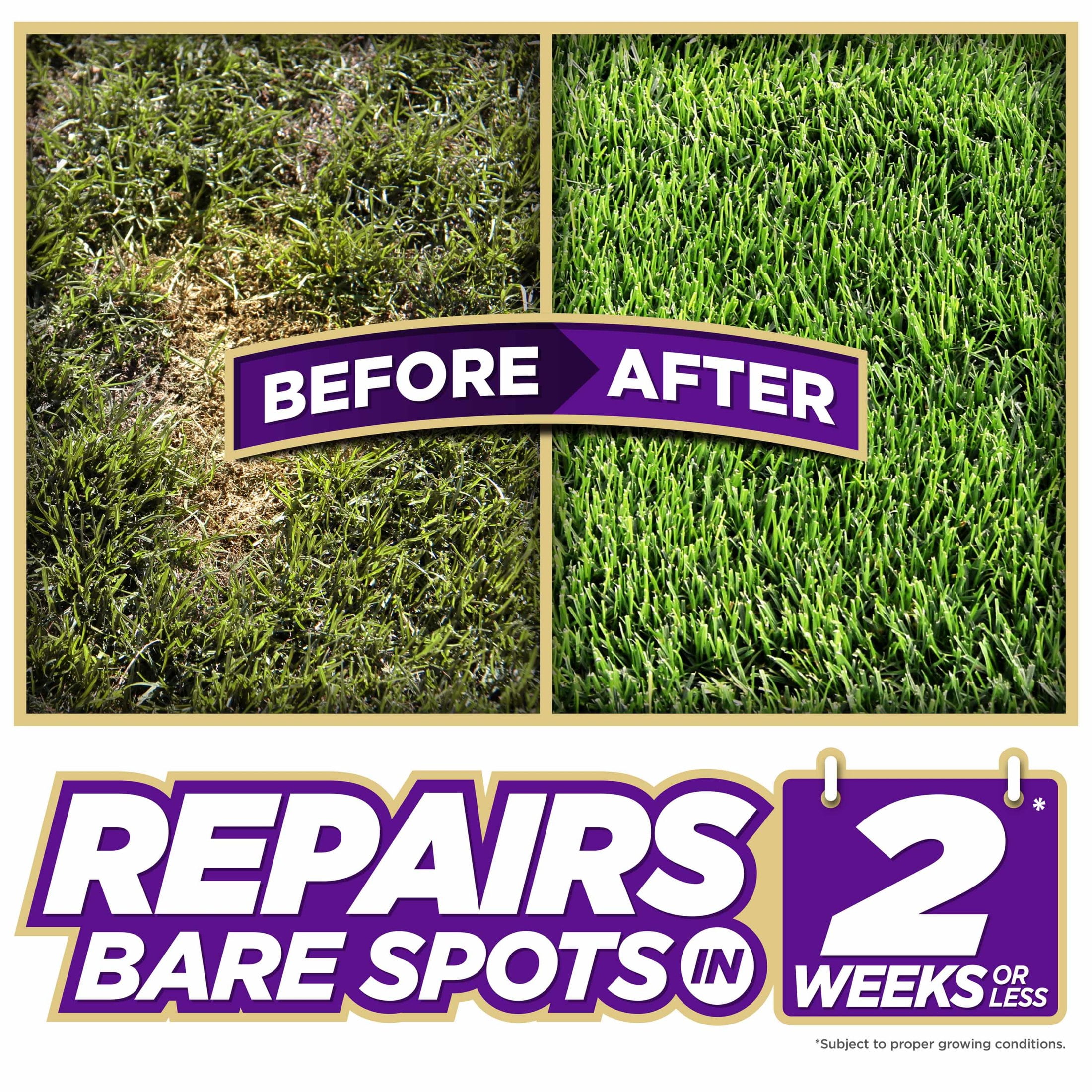 Pennington One Step Complete Dense Shade Patch & Repair Grass Seed Mix, Partial to Full Shade, 10 lb