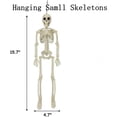 thumbnail image 2 of 15.8in Halloween Skeleton Decoration, Posable Skeleton Figure with Movable Joints, Full Body Skull Prop for Outdoor Yard, Haunted House Party and Spooky Home Decor, 2 of 6