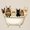 Cats in Bathtub, variant on Blact Cat Flannel Bath Mat 16x24 Inches, Soft Absorbent Non-Slip Bathroom Rug, Machine Washable Floor Mat for Shower