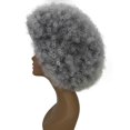 thumbnail image 6 of LUXLUXE Taylor 14" Curly Full Cap Synthetic Wig, Heat-Resistant Fiber Charcoal Mixed Gray Hair for Party & Daily Wear, 6 of 8