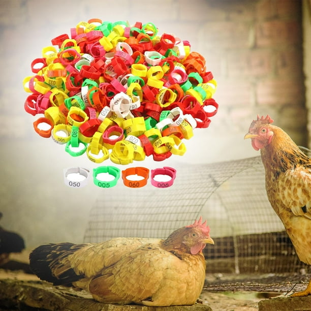 BELOVING 100 Pieces Chicken Identification Band Poultry Foot Bands for ...