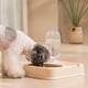thumbnail image 4 of Bebedero y comedero para mascotas espesado para volcar Juego de comida para gatos Tazón de almacenamiento de agua para perros Comedero para gatos, 4 of 6