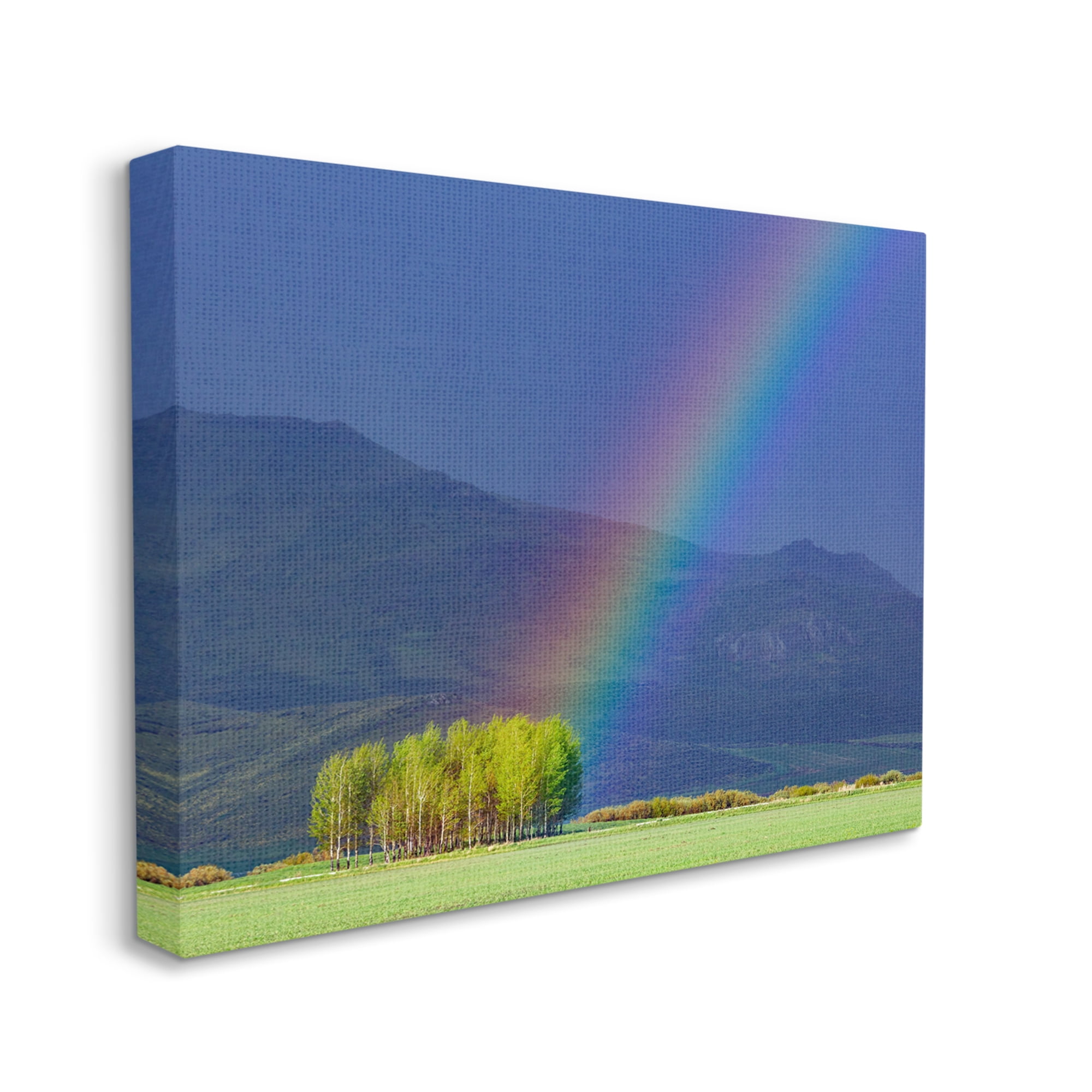 Stupell Industries Uplifting Rainbow Rays Tree Grove Mountain Landscape Photograph Gallery Wrapped Canvas Print Wall Art, Design by Steve Smith
