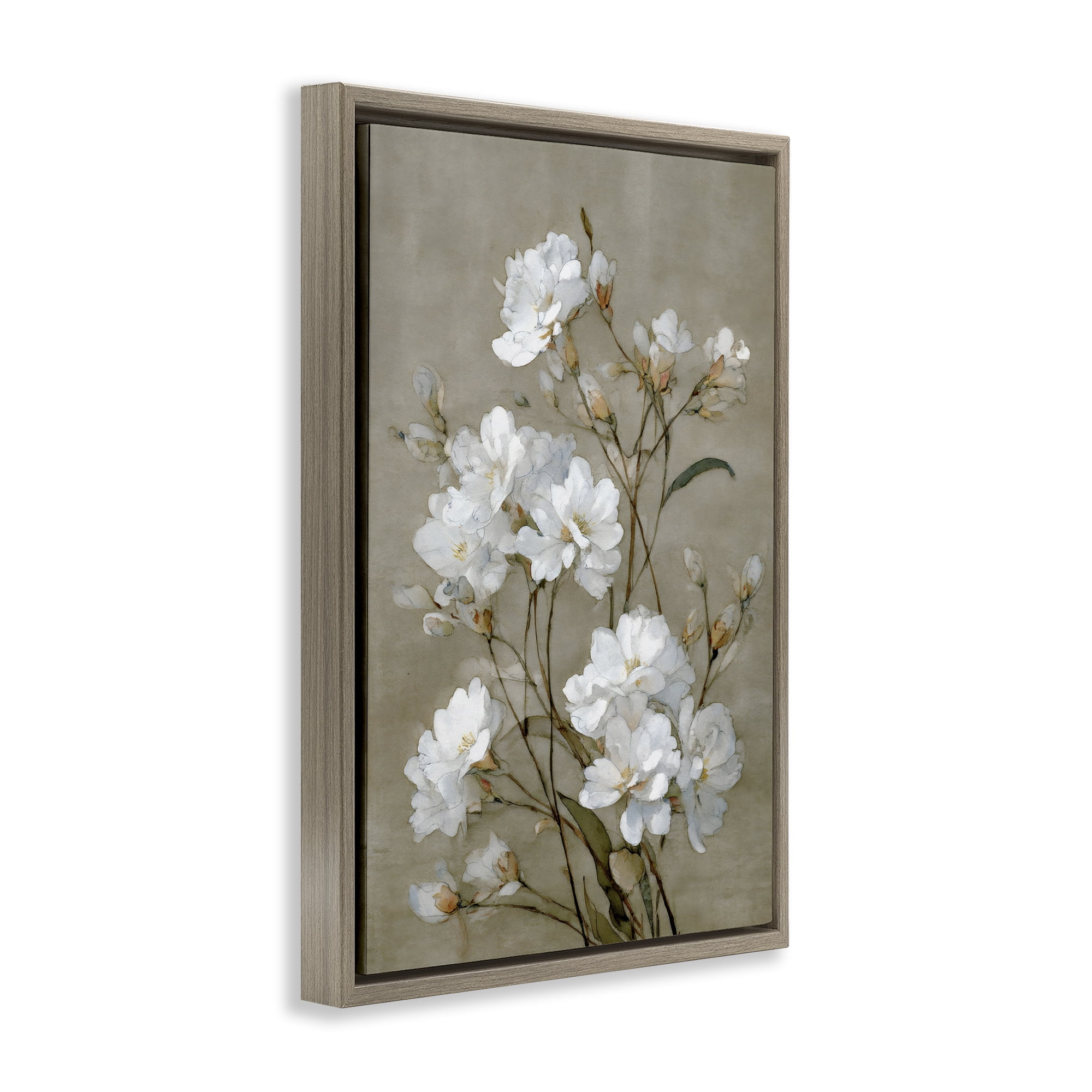 Stupell Industries Aged White Botanical Study Brown Framed Floater Canvas Wall Art, design by Petal Prints Design