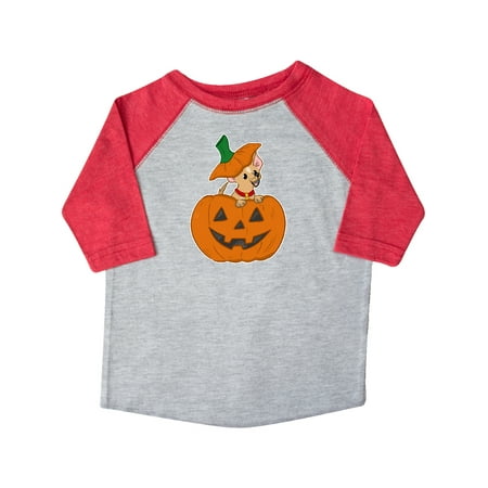 

Inktastic Halloween Chihuahua in Pumpkin Gift Toddler Boy or Toddler Girl T-Shirt