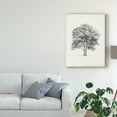 thumbnail image 3 of Trademark Fine Art 'Vintage Arbor Study II' Canvas Art by Ethan Harper, 3 of 4