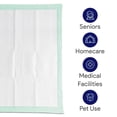 thumbnail image 5 of ProHeal Premium Incontinence Disposable Chucks Underpads - 30" x 36, 5 of 5
