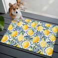 thumbnail image 3 of 2x3 Ft Entryway Area Rug, Lemon Fruit Kitchen Rug Runner Washable Floor Mat, Spring Plants Abstract Blue Leaves Non Slip Indoor Door Mat Throw Carpet for Bathroom Living Room Bedroom, 3 of 8
