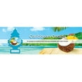 thumbnail image 6 of Little Trees Caribbean Colada Air Freshener, (Pack of 24), 6 of 9