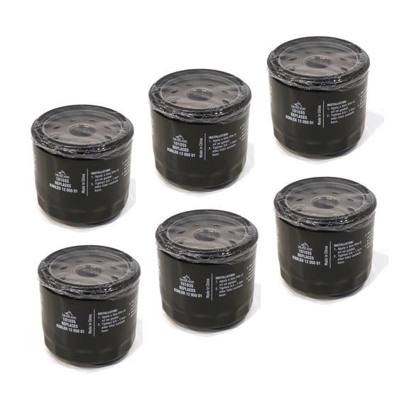 The ROP Shop 6-Pack Oil Filters for Simplicity 5021144X1SM, John Deere AM119567, AM125424