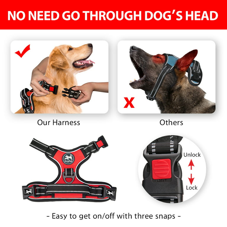 Ask to Pet Vest Dog Harness With Reflective Patches, No Pull Easy on and  off Pet Vest Harness, 3M Reflective Breathable FREE SHIPPING 