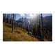thumbnail image 4 of Way of The Hunter - Xbox Series X Microsoft Xbox, 4 of 13